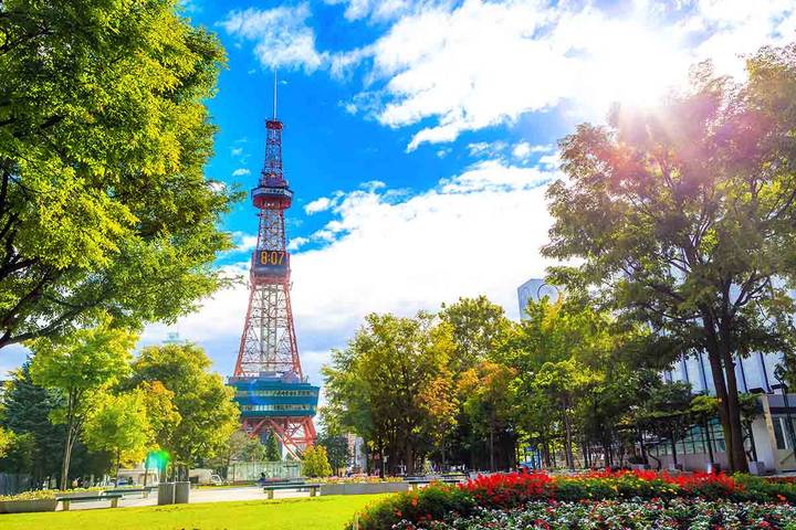 Japanese Scenes and Mount Fuji by Europamundo - 19-Day Tour Review - From Tokyo’s temples to Hiroshima’s memorials