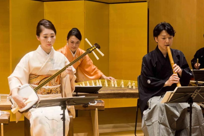 Japanese Traditional Music Show in Tokyo - The opening lesson: meeting Japanese musical instruments