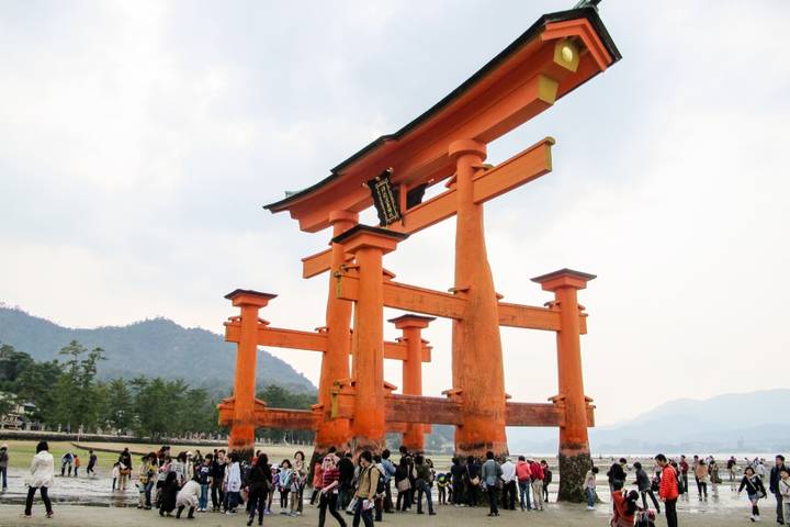 Journeys: Iconic Japan National Geographic - 12 Days, Tokyo to Kyoto Review - Key points to know before booking