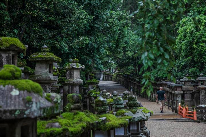 Journeys: Iconic Japan National Geographic - 12 Days, Tokyo to Kyoto Review - Himeji Castle and Kyoto’s lantern-lit Gion