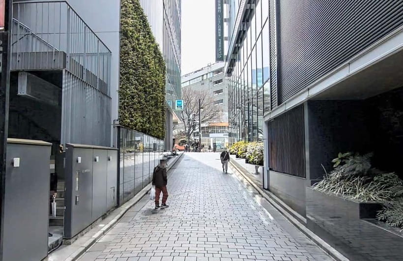 Kabukicho Macabre Tour - the Real Tokyo Vice - Key points at a glance