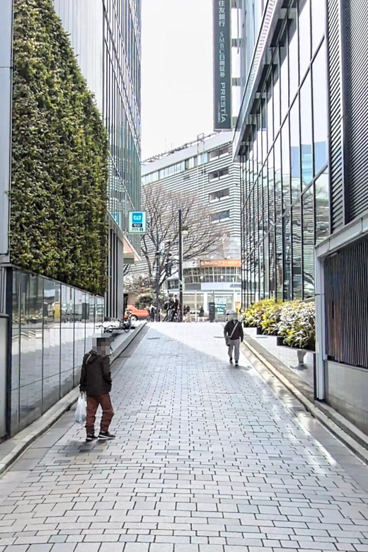 Kabukicho Macabre Tour - the Real Tokyo Vice - Is $56 a fair price?