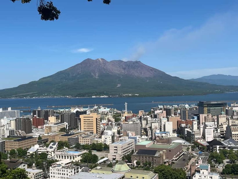 Kagoshima-city Sightseeing spot Private Tour - What the $116 price buys you