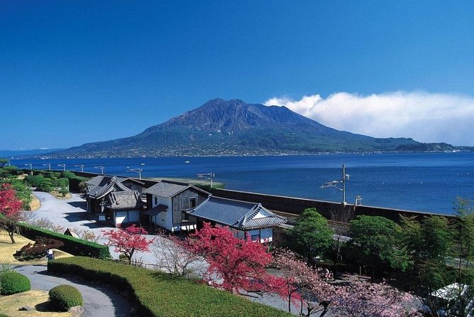 Kagoshima Full-Day Private Tour with Government-Licensed Guide - Key points to know before booking