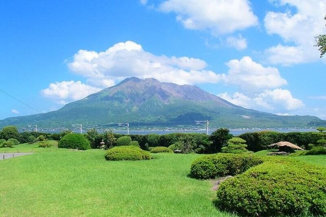 Kagoshima Full-Day Private Tour with Government-Licensed Guide - Terukuni Shrine and the Statue of Saigo Takamori