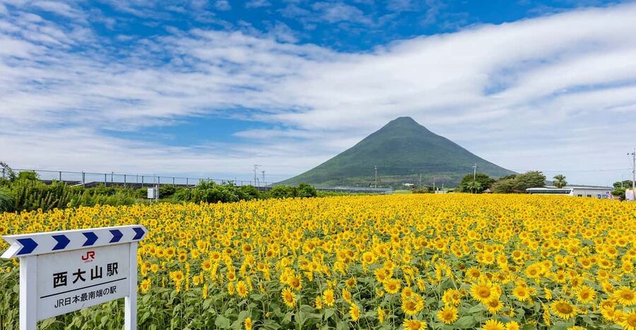Kagoshima: Ibusuki City and Mount Kaimon Dake Tour - Timing, transport, and what to bring