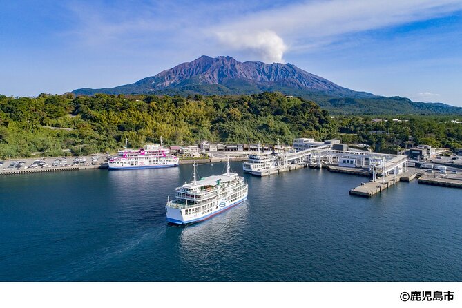 Kagoshima Nature and Food Culture Private Tour - Key points at a glance