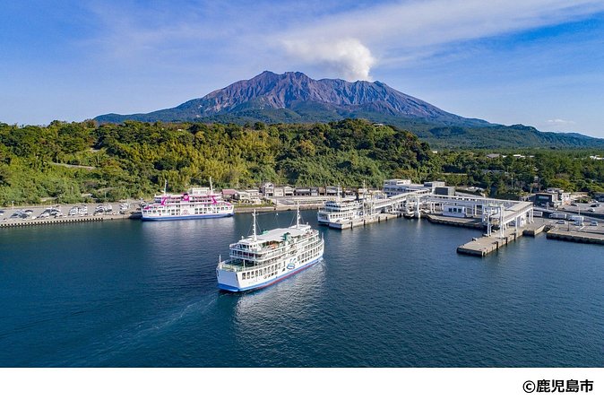 Kagoshima Nature and Food Culture Private Tour - Understanding Kagoshima’s shochu at Wakashio Shuzō