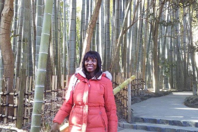Kamakura 6hr Private Walking Tour with Government-Licensed Guide - Enoshima changes the day from temples to sea