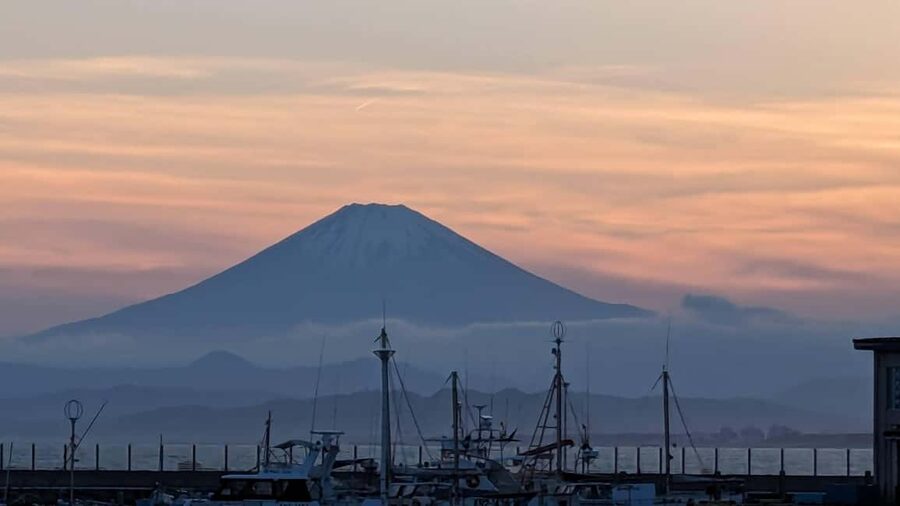 Kamakura: A Journey Through Medieval Japan - Tsurugaoka Hachimangu: The political heart of Kamakura