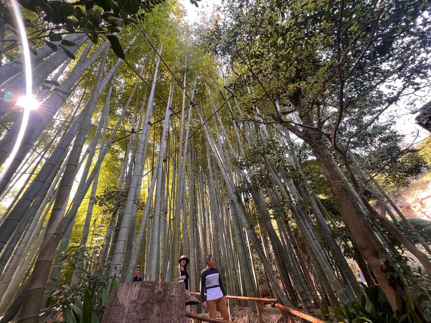 Kamakura and Enoshima: Private Guided Day Tour with Vehicle - Why a private vehicle changes this Kamakura day