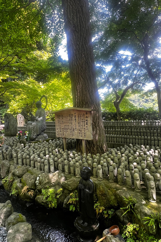 Kamakura and Enoshima: Private Guided Day Tour with Vehicle - Extra costs, timing, and comfort