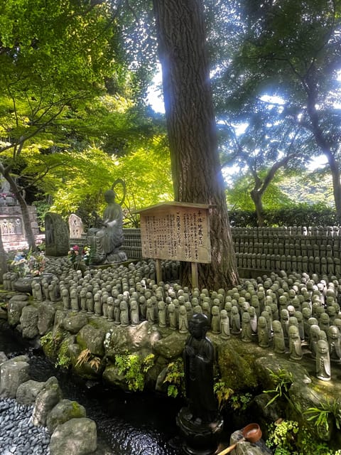 Kamakura and Enoshima: Private Guided Day Tour with Vehicle - Meeting the Great Buddha at Kotoku-in