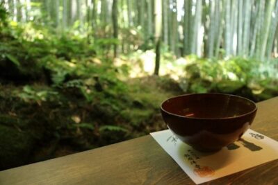 Kamakura Bamboo Forest and Great Buddha Private Tour
