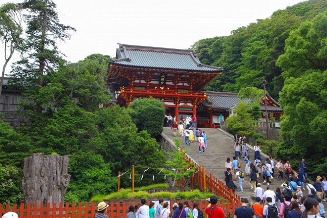 Kamakura Bamboo Forest and Great Buddha Private Tour - Komachi Dori adds food and shopping