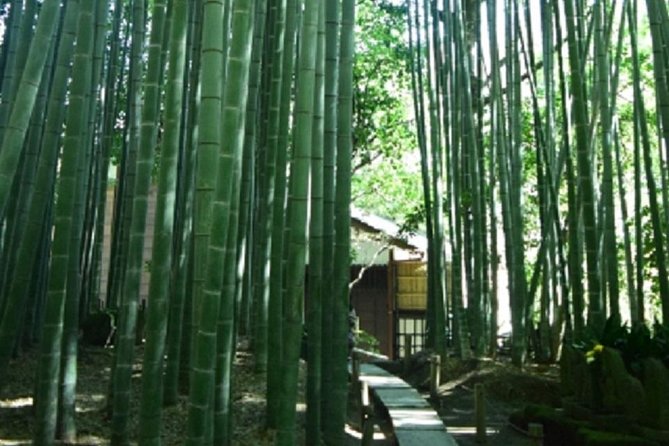Kamakura Bamboo Forest and Great Buddha Private Tour - Public transportation shapes the day