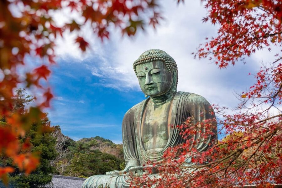Kamakura Half Day Tour with a Local Expert Guide - Key points at a glance