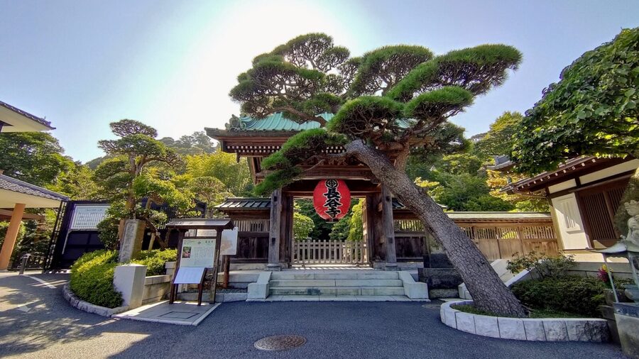 Kamakura Half Day Tour with a Local Expert Guide - The Real Cost of a $87 Private Walk