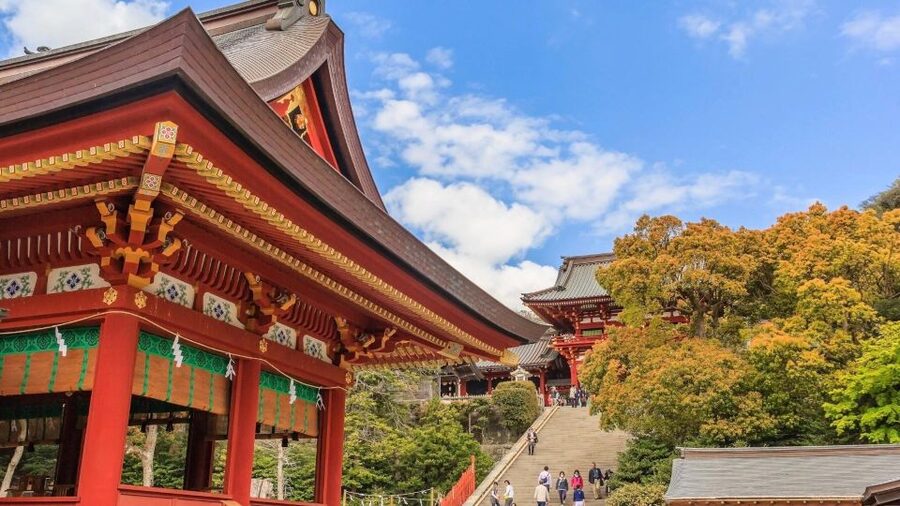 Kamakura Half Day Tour with a Local Expert Guide - Timing, Flexibility, and What to Clarify