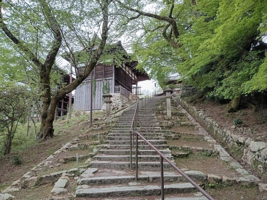 Kamakura Half Day Tour with a Local Expert Guide - Who Will Get the Most From This Tour?