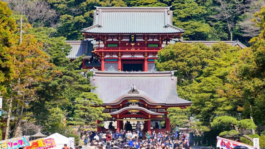 Kamakura Half Day Tour with a Local Expert Guide - Starting in Tokyo or Meeting in Kamakura