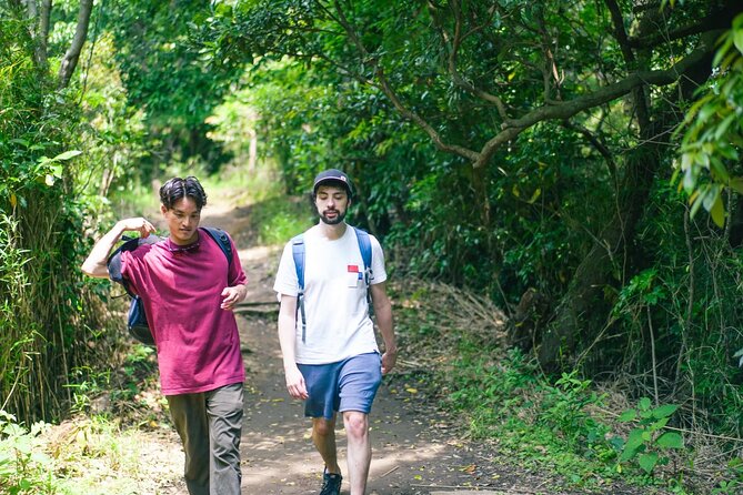 Kamakura Historical Walking Tour with the Great Buddha - Hasedera Temple: gardens, coastline, and a small cave
