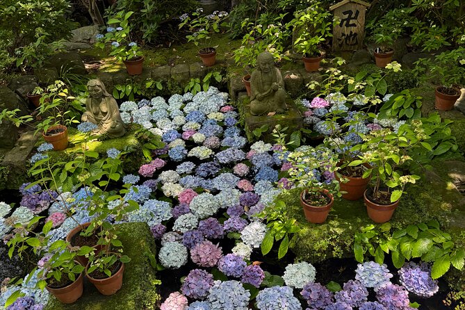 Kamakura Tours Half Day or Full Day Tours with a local guide. - Who will get the most from this outing
