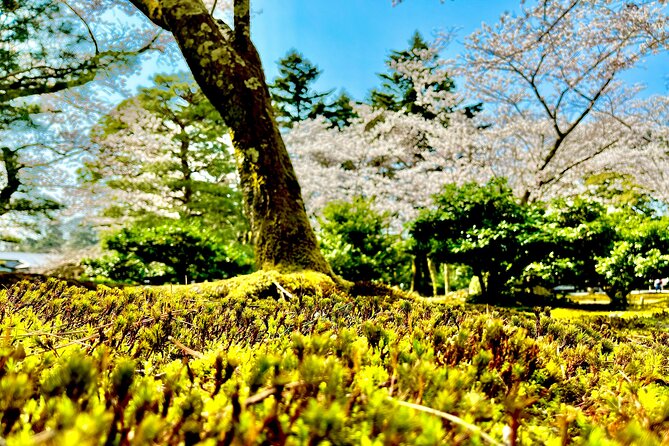 Kanazawa Full Day Private Tour to Top Highlights with Local Guide - Starting at Kanazawa Station