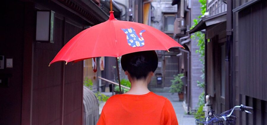 Kanazawa: Half-Day Private Guided Tour - Walking through the Samurai District’s mud walls