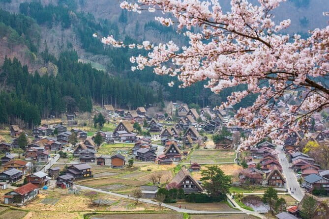 Kanazawa Half-day Tour: Curated: Gardens, Craft & Geisha District - Matcha in a quiet samurai house