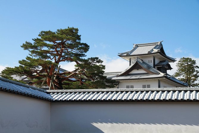 Kanazawa Half Day Tour (Private Guide) - What the $134.69 price buys you