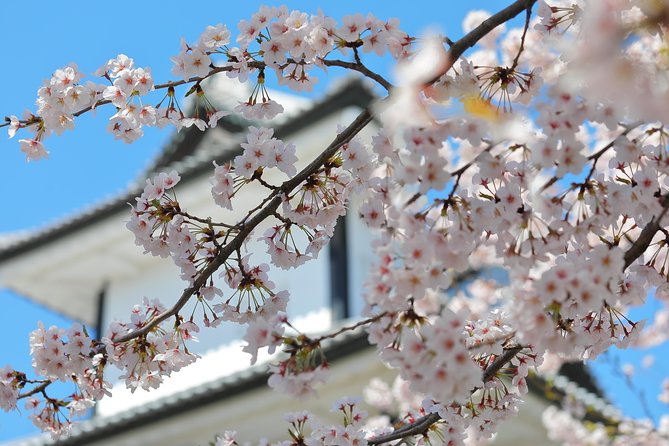 Kanazawa private 1 day/Photoshoot by professional photographer - Key points to know before booking