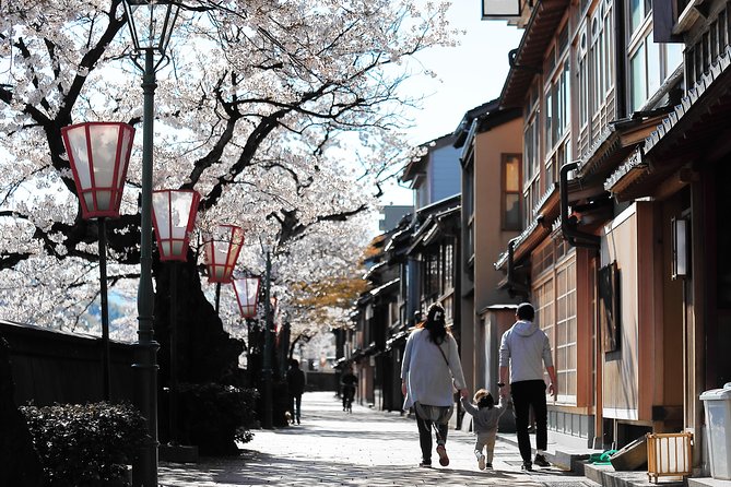 Kanazawa private 1 day/Photoshoot by professional photographer - Kenrokuen Garden brings the grandest photo setting