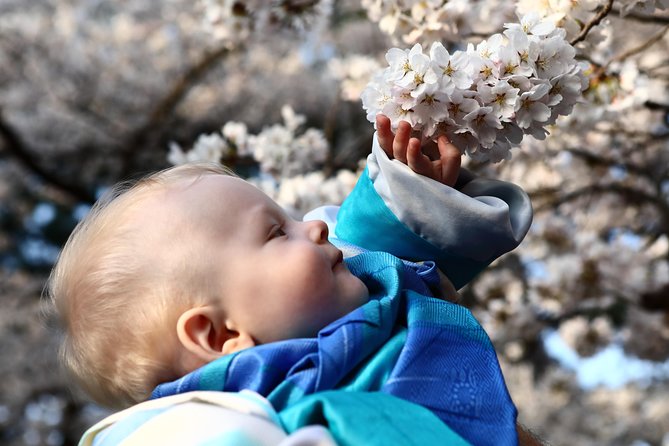 Kanazawa private half day/Photoshoot by professional photographer - Optional details at Ochaya Shima