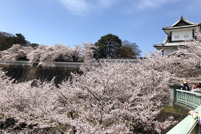Kanazawa Private Tour: Highlights of an Old Samurai Town - Nomura Family Samurai House and a more personal view of the past
