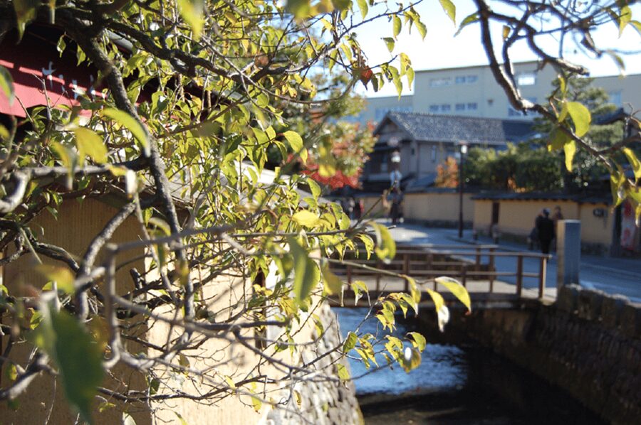 Kanazawa: Samurai Residence Remains Nomura Family admission - Practical rules that shape your visit