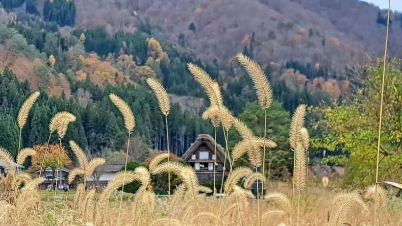 Kanazawa/Takayama: Shirakawago & Takayama Private Day Tour - Key points to know before booking