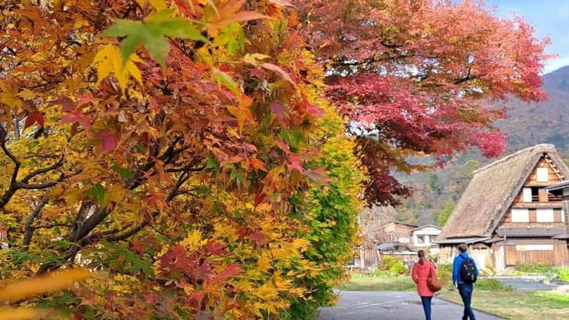 Kanazawa/Takayama: Shirakawago & Takayama Private Day Tour - Why a private van makes this mountain route easier