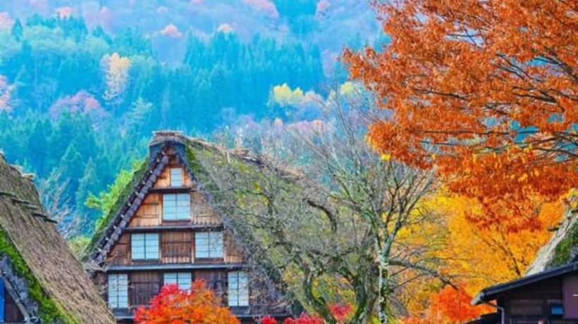 Kanazawa/Takayama: Shirakawago & Takayama Private Day Tour - Hida no Sato: a calmer look at rural Hida