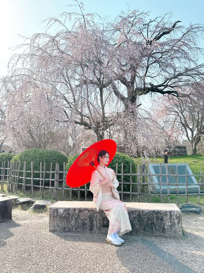 Kanazawa:Traditional Experience -kimono rent at wargo - Choosing your kimono and accessories