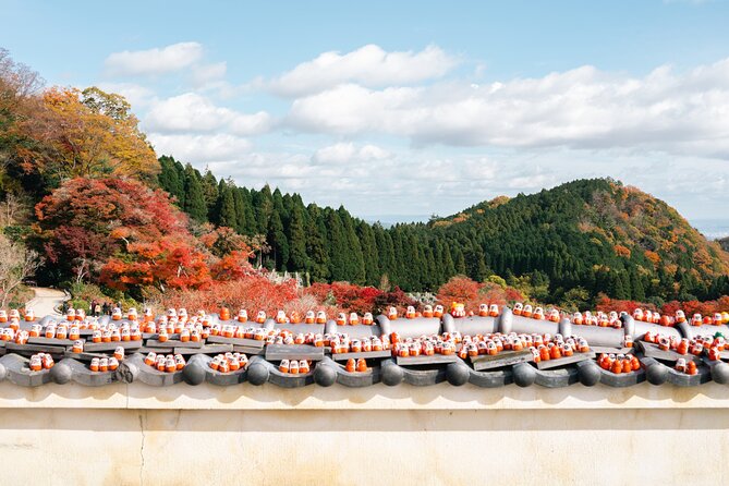 Katsuo-ji Temple, Arashiyama Forest, & Nara Park - Arashiyama’s bamboo path in a tight 90 minutes