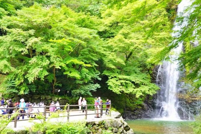 Katsuo-ji Temple, Arashiyama Forest, & Nara Park - A self-guided day with a guide nearby