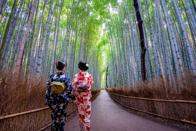 Katsuo-ji Temple, Arashiyama Forest, & Nara Park - The time pressure is real