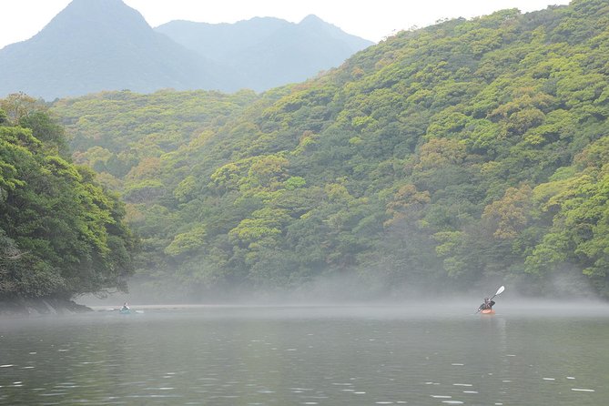 Kayaking in Anbo River - Key points to know before you book