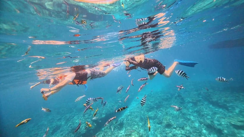 Kerama Half-Day Snorkeling Tour - Photos, showers, and the useful extras