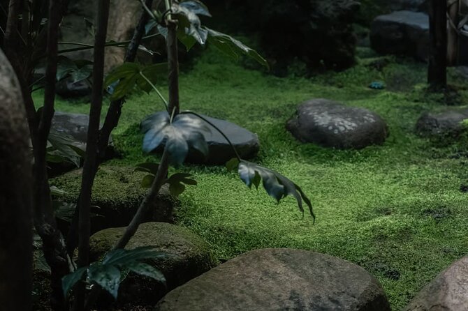 Kimono Tea Ceremony at Kyoto Maikoya, Karasuma Shijo - What the Kyoto Maikoya visit actually gives you