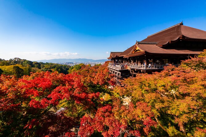 Kiyomizu Temple and Backstreets of Gion, Half Day Group Tour - Key points to know before you book