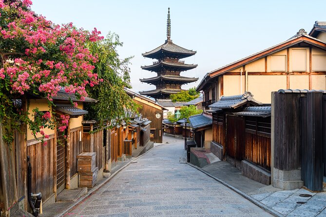 Kiyomizu Temple and Backstreets of Gion, Half Day Group Tour - Walking through Gion and Hanamikoji