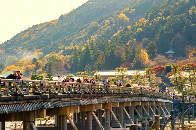 KIYOTO’s Kyoto Private E-Cycling Tour: Highlights & Hidden Gems - Kyoto Gyoen, stepping stones, and central shopping streets