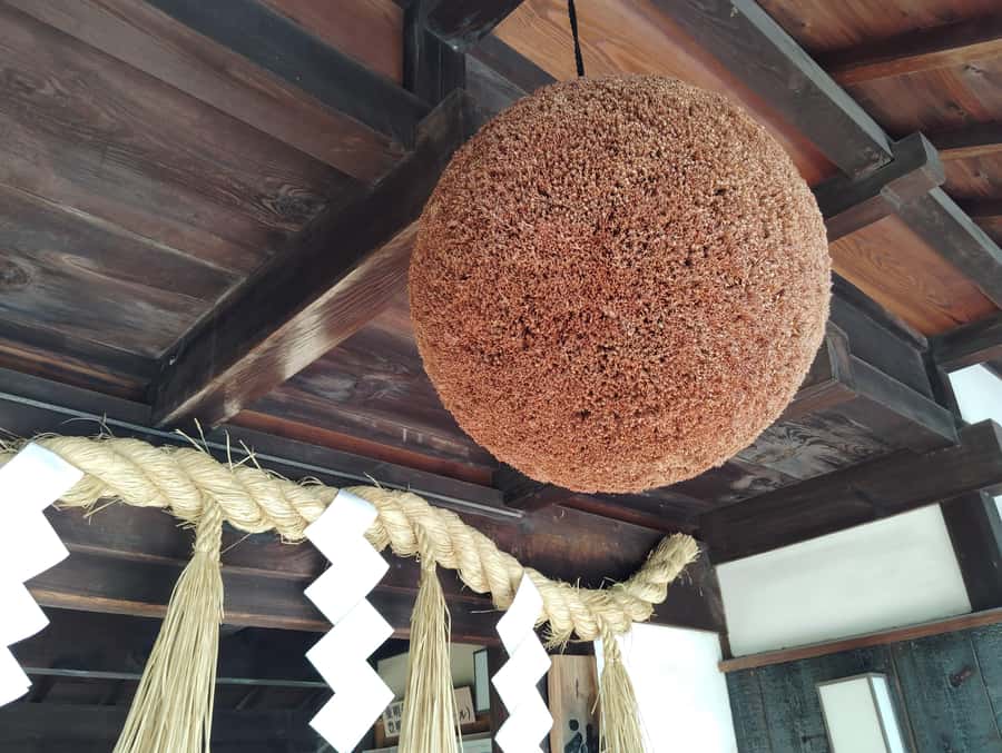 Kobe: 3-Hour Sake Breweries Tour with Special Tasting - Who will enjoy this Kobe sake tour most